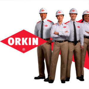 orkin-rs-empresa-especialista